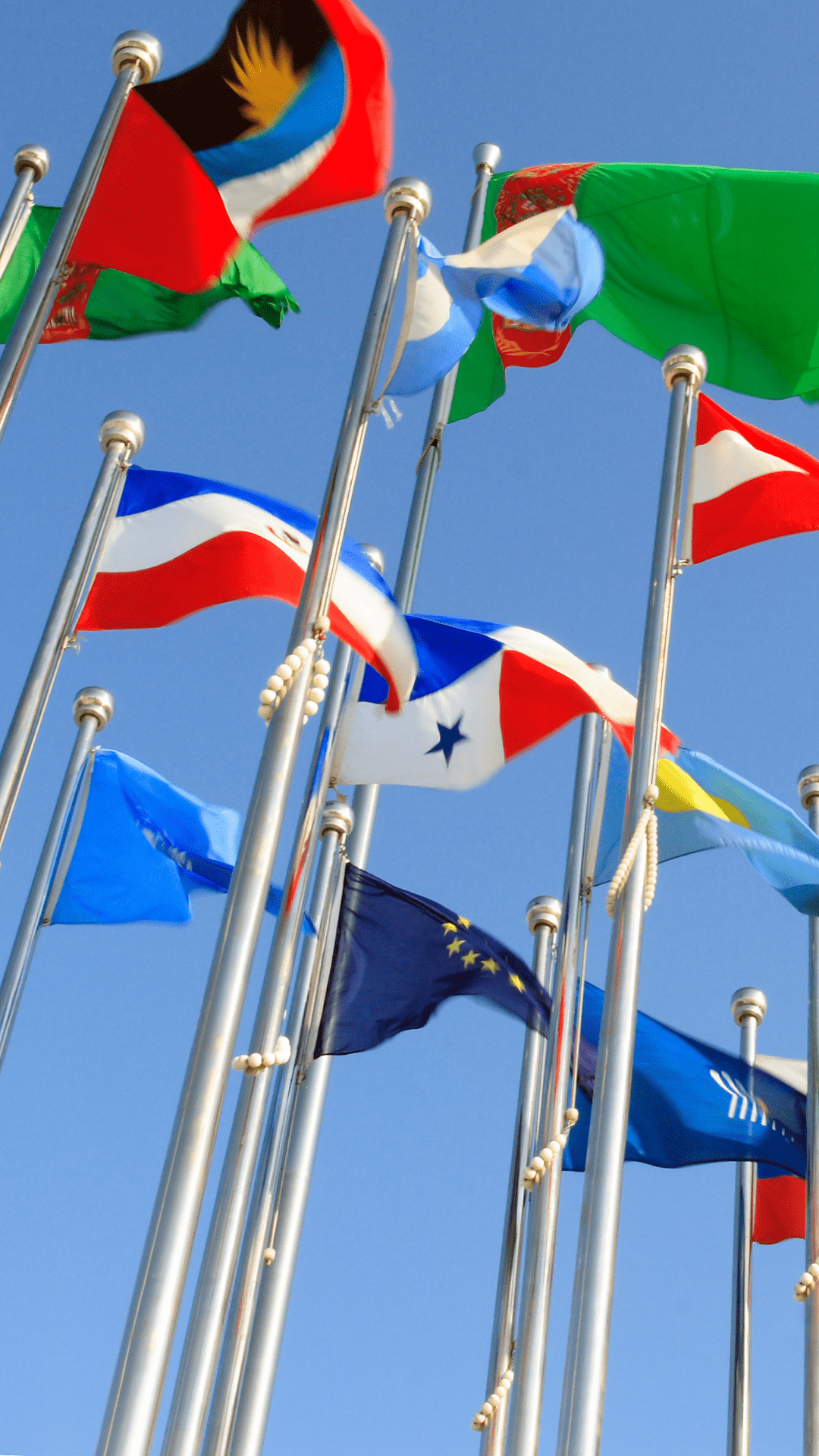 National flags